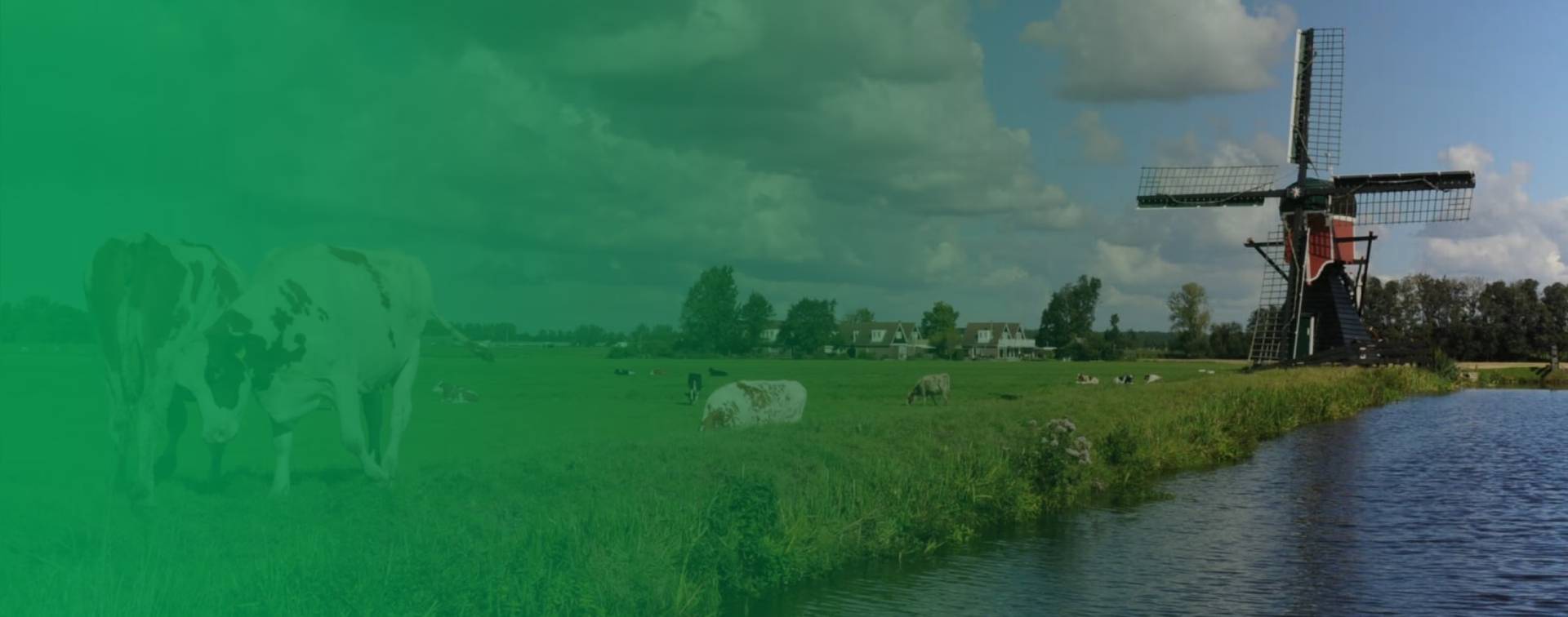 Carousel background slide 0: DE DIRECT BESPAREN DAGEN