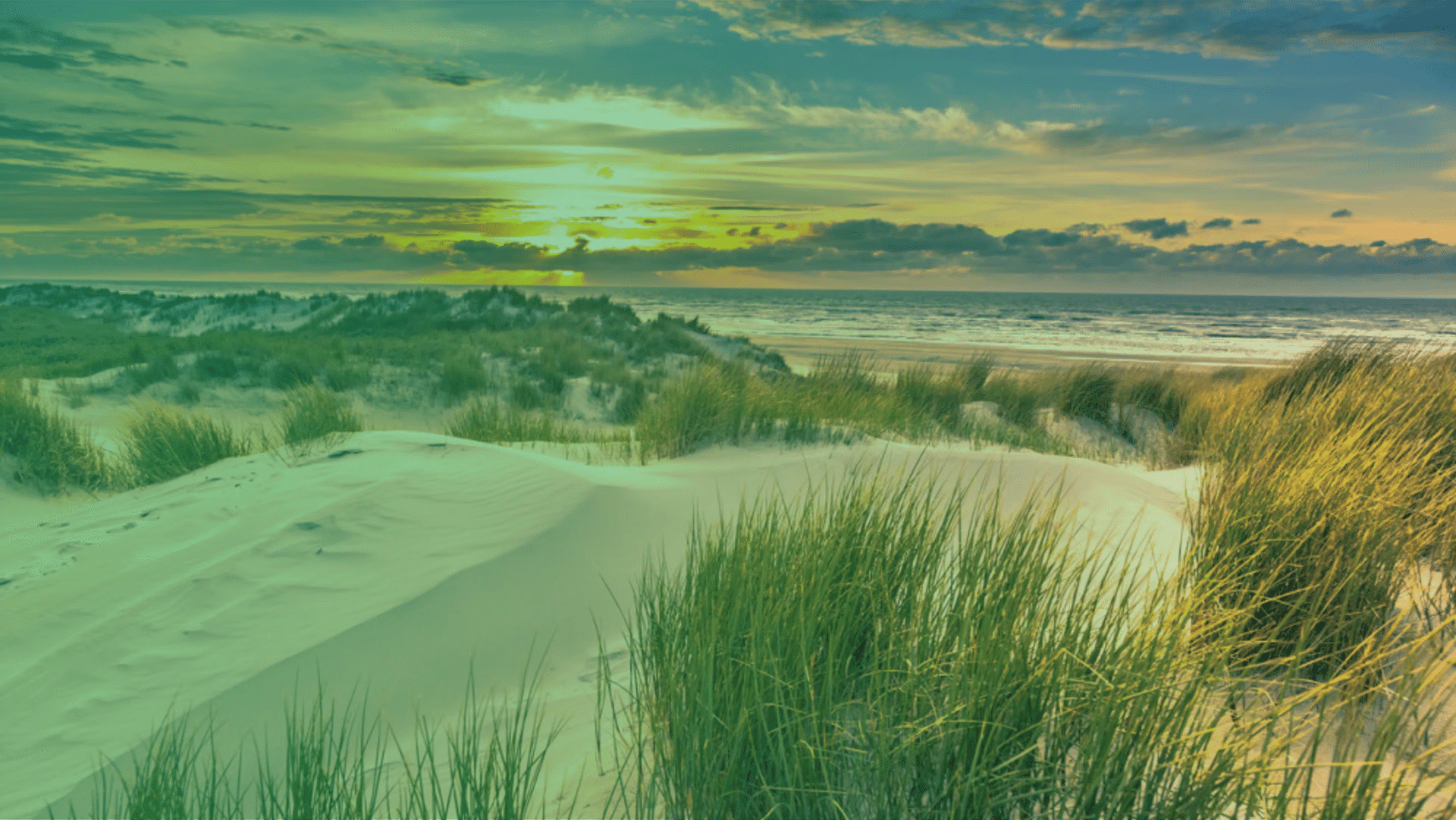 Carousel background slide 0: DE DIRECT BESPAREN DAGEN